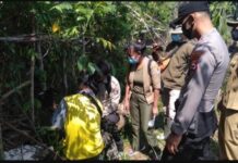 Polres Seluma Bersama BKSDA Pasang Perangkap Raja Hutan Pemangsa Kambing Warga