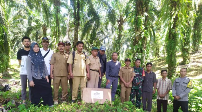 Pemdes Rena Jaya Titik Nol Pembangun Jalan Lingkungan Dan Lampu Jalan Anggaran Dana Desa Tahun 2024