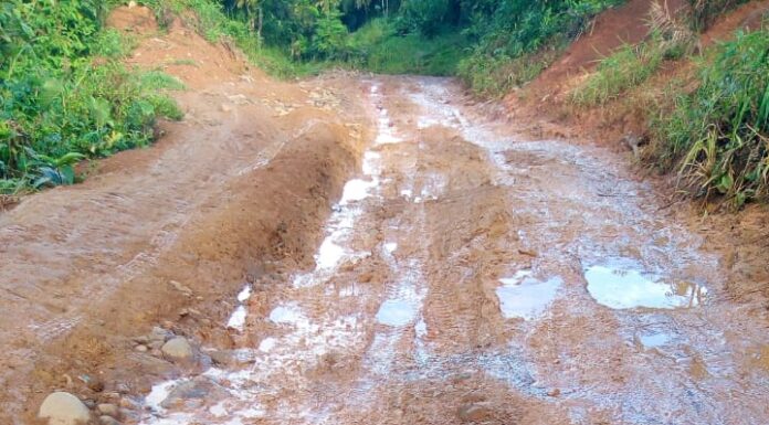 Jalan Provinsi Penghubung Antar Kabupaten Butuh Perhatian