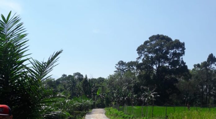 PEMDES AIR BAUS DUA KEJAR SELESAI DI BAWAH TARGET UNTUK PEMBANGUN JALAN USAHA TANI TAHAP SATU