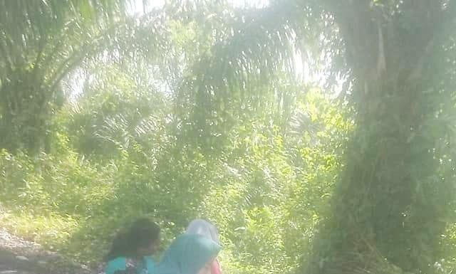 Demi Untuk Cari Signal HP, Siswa di Abaikan Keselamatan .