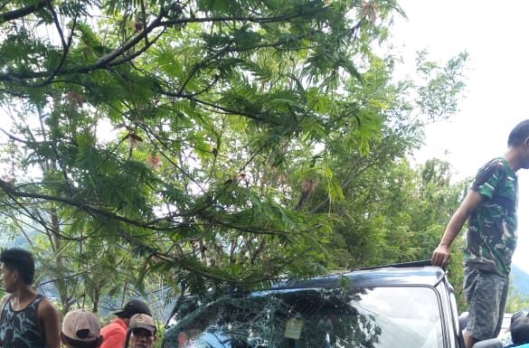 Hari Ini Adu Kambing Mobil Gran max VS Sedan