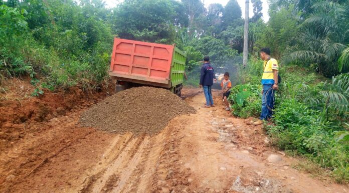 Jalan Rawan longsor Di Desa Punguk Jaya Sudah Ada Perbaikan