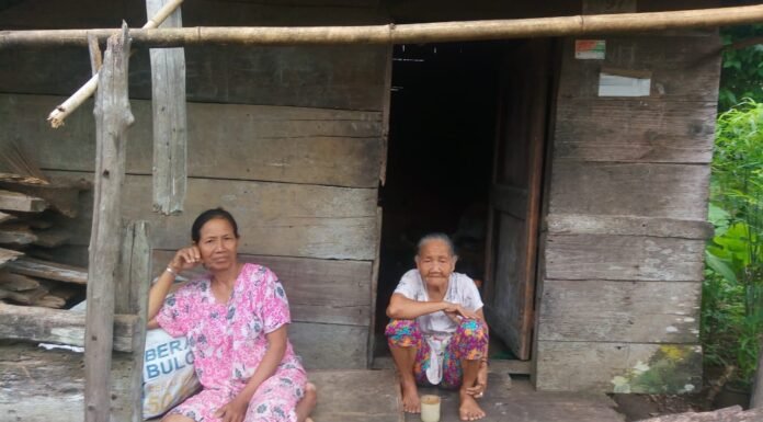 Ibu Rohima (80) Tahun Mengharap Bantuan Dari Pemerintah Setempat