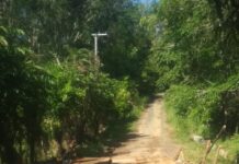 Jalan Desa Paku Haji Butuh Perbaikan