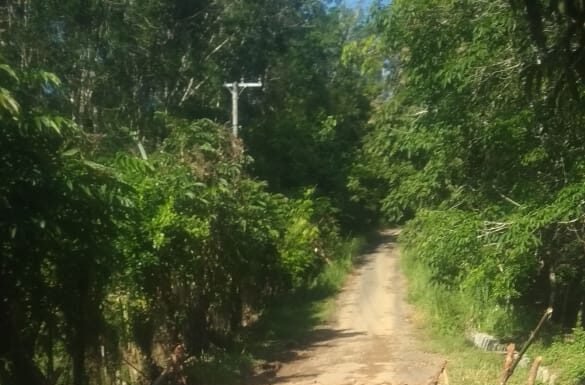 Jalan Desa Paku Haji Butuh Perbaikan