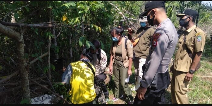 Polres Seluma Bersama BKSDA Pasang Perangkap Raja Hutan Pemangsa Kambing Warga