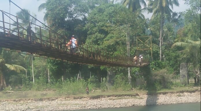 Warga Transos Kecamatan Luas Minta Perbaikan Jembatan Gantung