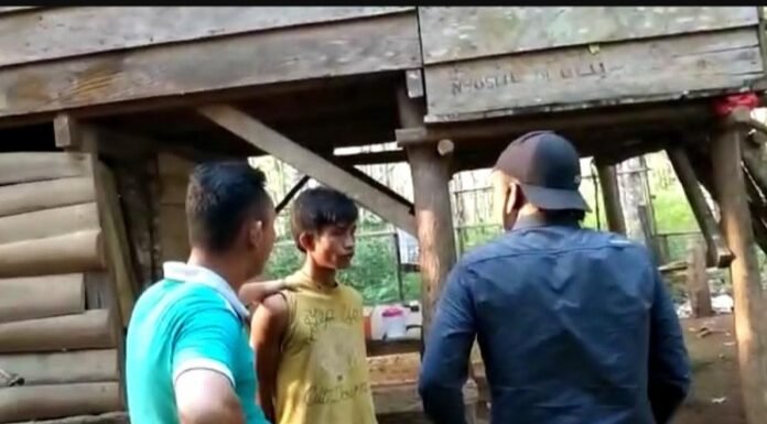 2 Pelaku Curnak Sapi Berhasil Di Ringkus Oleh Polsek Sukaraja