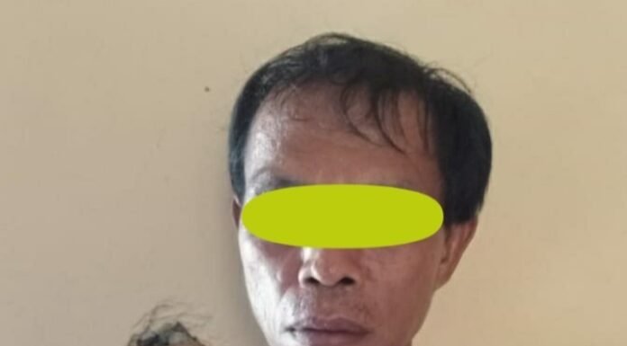 Pria 44 Tahun Tegah Setubuhi Anak Tiri Diamankan Sat Reskrim Polres Seluma