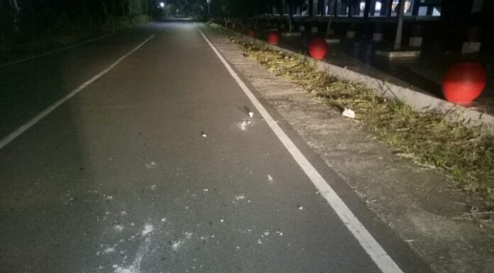 Asik Nongkrong, Pemuda Padang Kemiling Dikeroyok Hingga Tewas