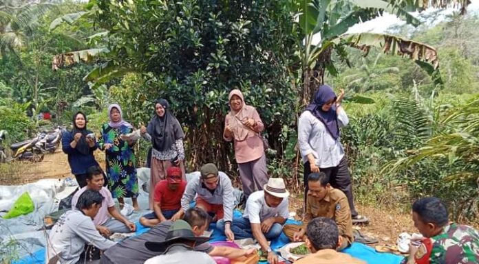 Program Ketahanan Pangan Desa Datar Ruyung Panen Ikan Bersama Masyarakat