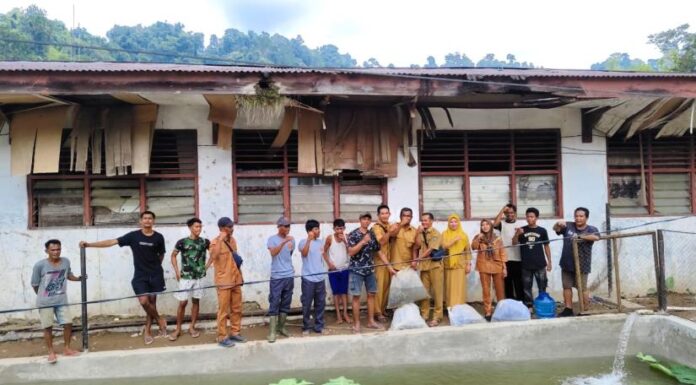 Program Ketahanan Pangan Desa Lebong Tandai Tahun Anggaran 2024 Pelepasan Bibit Ikan Lele