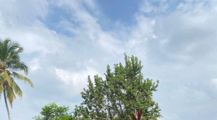 Pemdes Batu Raja R Titik Nol Jalan Usaha Tani Desa Tahun Anggaran 2024