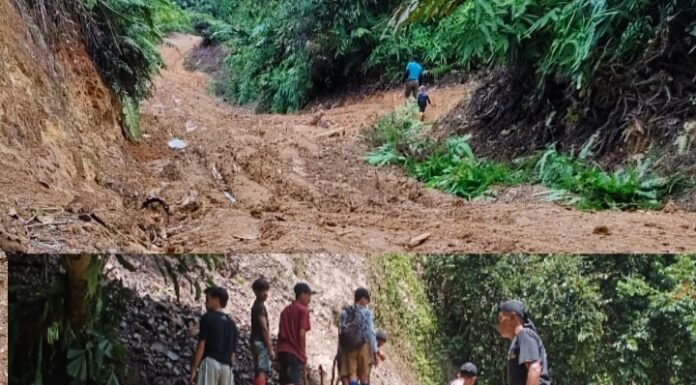 Akibat Tanah Longsor Dan Jalan Rusak Parah Akses Ke Desa Lebong Tandai Lumpuh Total