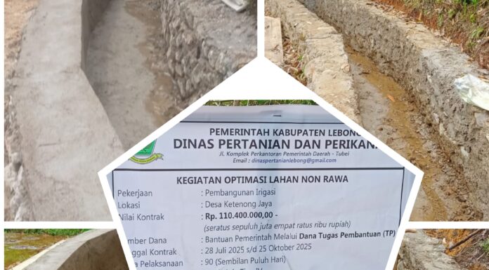 Kelompok Tani Sopoyono Desa Ketenong Jaya Dapat Kucuran dana Revitalisasi irigasi Dari Kementan RI