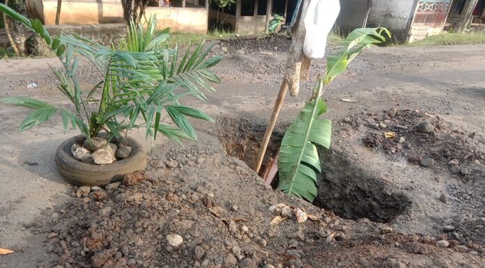 Gorong Gorong Ambruk Juga Berlobang Jalan di Tanam Sawit dan Batang Pisang Sebagai Pembatas