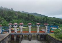 Menjaga Hulu, Mengalirkan Energi : Upaya Konservasi di PLTA Musi Bengkulu