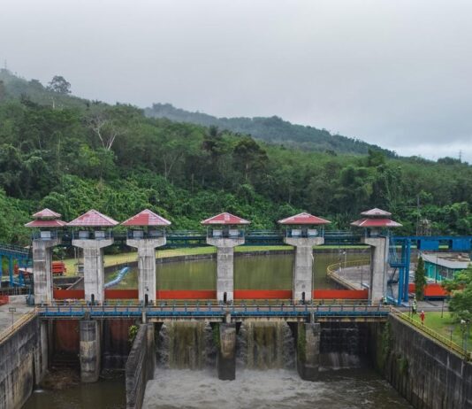 Menjaga Hulu, Mengalirkan Energi : Upaya Konservasi di PLTA Musi Bengkulu