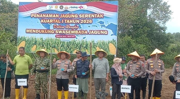 Ikuti Zoom Meeting dan Tanam Raya Jagung Serentak Kuartal I polres BU Dukung Ketahanan Pangan Nasional