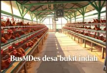 Diduga Pemberhentian Sepihak Pengurus BUMDes Bukit Indah Bengkulu Utara Desak Dinas DPMD Turun Tangan
